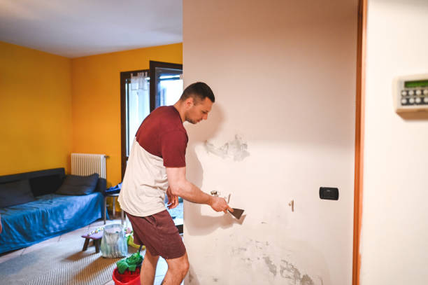 Best Attic Mold Removal  in Signal Hill, CA